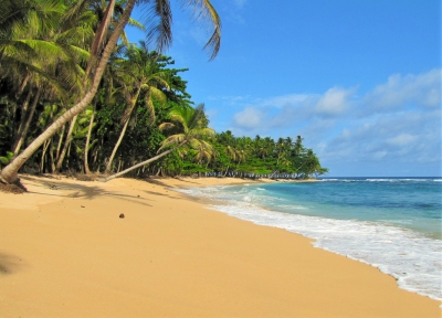 Meilleur moment pour voyager São Tomé e Príncipe